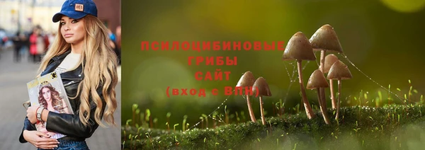 гашиш Арсеньев