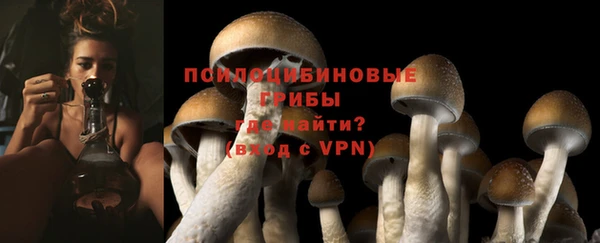 не бодяженный Армянск