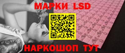 мдпв Владимир