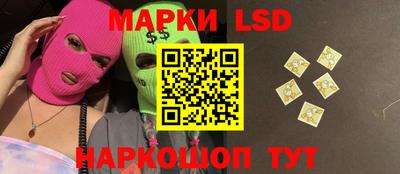 мдпв Владимир