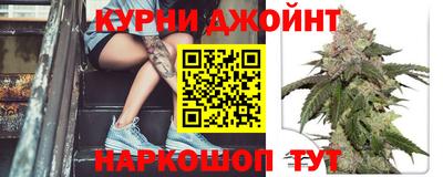мдпв Владимир