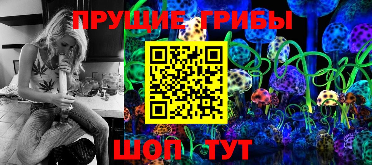 Карабулак  наркотики  Вход с VPN  Псилоцибиновые грибы прущие грибы 